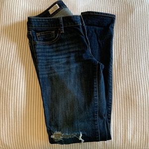 Looking for new home